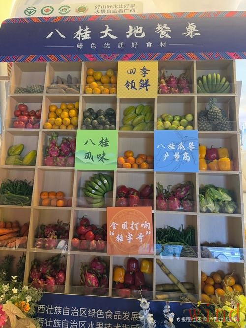 皇冠直播app入口地址整理