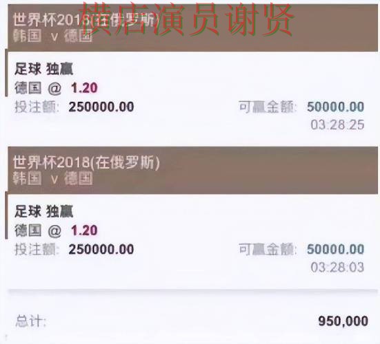 世界杯官方信息背景下的世界杯投注平台合集深度评测与真实体验